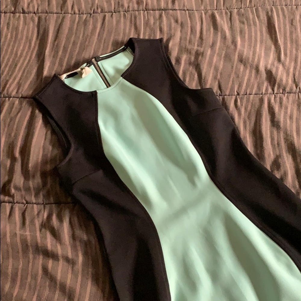 Form-fitting Two Tone Dress